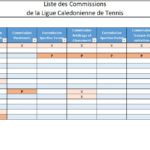 Les commissions de la Ligue